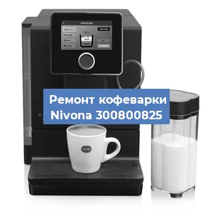 Чистка кофемашины Nivona 300800825 от накипи в Новосибирске